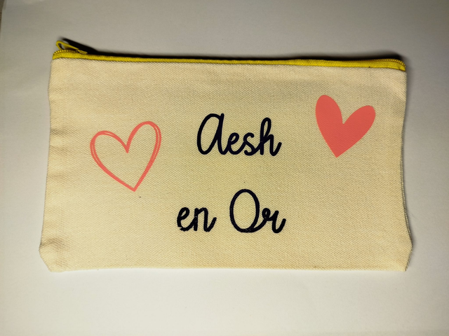 pochette AESH